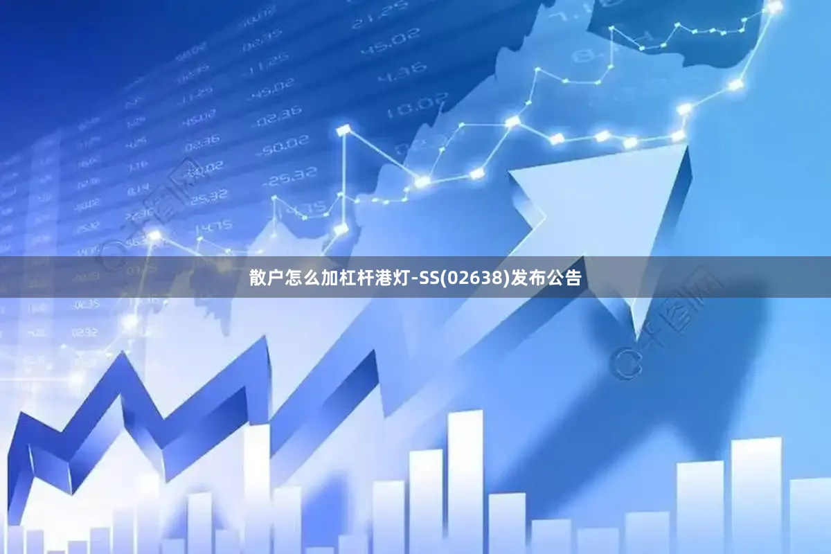 散户怎么加杠杆港灯-SS(02638)发布公告