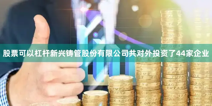 股票可以杠杆新兴铸管股份有限公司共对外投资了44家企业