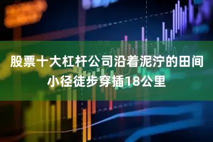股票十大杠杆公司沿着泥泞的田间小径徒步穿插18公里
